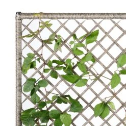 Polyrattan Blumenkasten Mit Rankgitter Creme -GartenMeister Verkäufe 0c801b2c2bb06fc715420a479a9de32f de 108067d 7