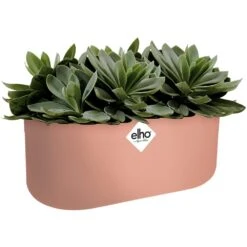 Elho Blumentopf B. For Soft Duo Rosa 27x13x14cm 3,7L -GartenMeister Verkäufe 0cc8c08b37b185d5f3efd3bfb30d51b8 a de 193654g 1 2
