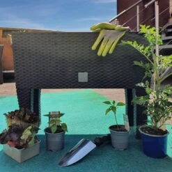 Hochbeet Polyrattanoptik Anthrazit 60x25x46cm 11 Hochbeet Polyrattanoptik Anthrazit 60x25x46cm -GartenMeister Verkäufe 383f01047d440da2d1597e7a44a3f61a de 108518d 6 3