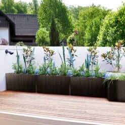 Hochbeet 2er-Set Polyrattanoptik Anthrazit 60x25x46cm -GartenMeister Verkäufe 41f71028deeb88f302fa8d7e9249ed8b de 108518d 4 1 1 1
