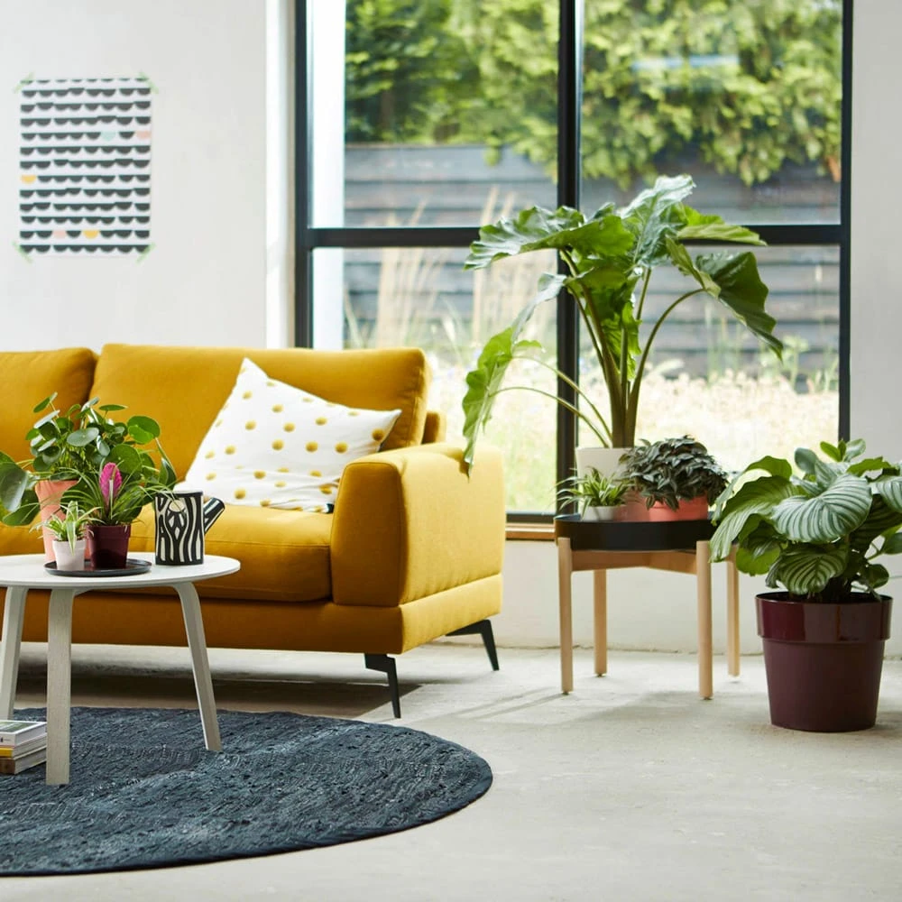 Elho Blumentopf Maulbeere 35x32cm 21,9L 2 Elho Blumentopf Maulbeere 35x32cm 21,9L – Bild 2