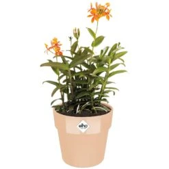 Elho Blumentopf Nude 18x17cm 2,9L -GartenMeister Verkäufe 4a5122d87440390aaeae8bbb6f8d00b3 a de 193650g 1