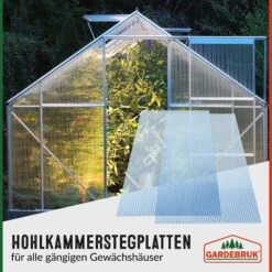 Hohlkammerstegplatten 14er-Set Transparent 10,25m² 24 Hohlkammerstegplatten 14er-Set Transparent 10,25m² -GartenMeister Verkäufe 59c4ee5d8a3740c52897571dcc6765f8 03 101737 on dts amz high de 1