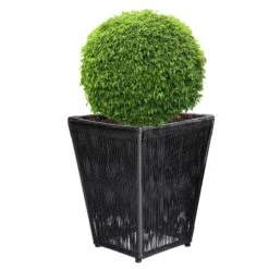 Blumenkasten Acapulco 2er-Set Schwarz 36x36x40cm -GartenMeister Verkäufe 5e67934c5e237dbec796f7f9f2b813e7 de 108061d 9 1