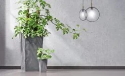 Blumentopf Betonoptik Anthrazit 26L -GartenMeister Verkäufe 68d29994de01b5a06e6b36cc051e2fd6 de 881771d 1 1 1