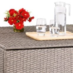 Polyrattan Auflagenbox Creme 318L 16 Polyrattan Auflagenbox Creme 318L -GartenMeister Verkäufe 6a1cca6faf89697ddeeba36631df2464 de 108955d 3 1