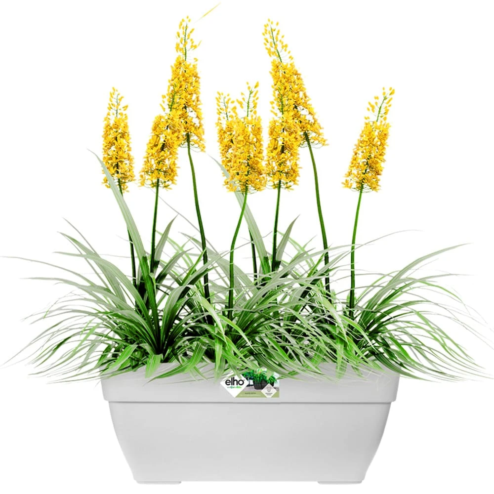 Elho Blumentopf Weiß 80x33x35cm 63L 1 Elho Blumentopf Weiß 80x33x35cm 63L