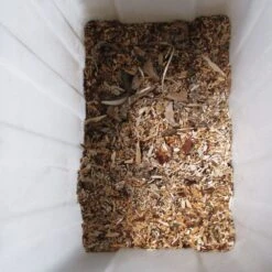 Leisehäcksler 3.159W Mit Sammelbeutel 60L 15 Leisehäcksler 3.159W Mit Sammelbeutel 60L -GartenMeister Verkäufe 97e217ce839f958c3a2981256e7f84d7 de 106535d 9