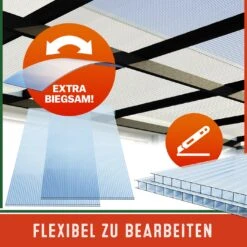 Hohlkammerstegplatten 10er-Set Transparent 6mm 7,32m² -GartenMeister Verkäufe 9f56db74e7ebd203ffac44174664b599 05 109590 on dts web low de 1