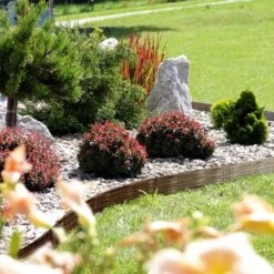 Beeteinfassung 3er-Set Terrakotta 11,7m -GartenMeister Verkäufe 9f60d11edfa8e8036a08b7e78a7b038b de 881017d 1 1 8