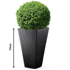Blumentopf Sand Polyrattan-Optik 70x40x40cm -GartenMeister Verkäufe a6ab277f5bbd1912cfbe18cb02089d4d de 880426d 1 1