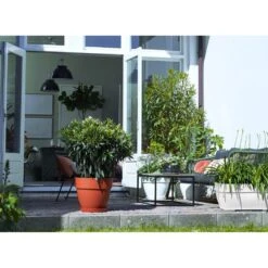 Elho Blumentopf Weiß 80x33x35cm 63L 7 Elho Blumentopf Weiß 80x33x35cm 63L -GartenMeister Verkäufe a85e8c484468cbc19909ce2a22fffba6 de 193675d 4 1