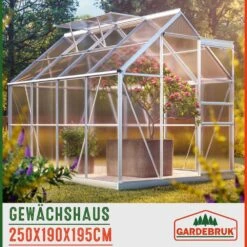 Alu Gewächshaus 250x190x195cm Mit Fundament -GartenMeister Verkäufe cb2f6102540f6824df1b9e8a625970be 06 991461 on amb amz low de 1 1