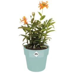 Elho Blumentopf Mint 18x17cm 2,9L -GartenMeister Verkäufe cc8efd518d5edd939a4ca93e753a0a97 a de 193649g 1 1