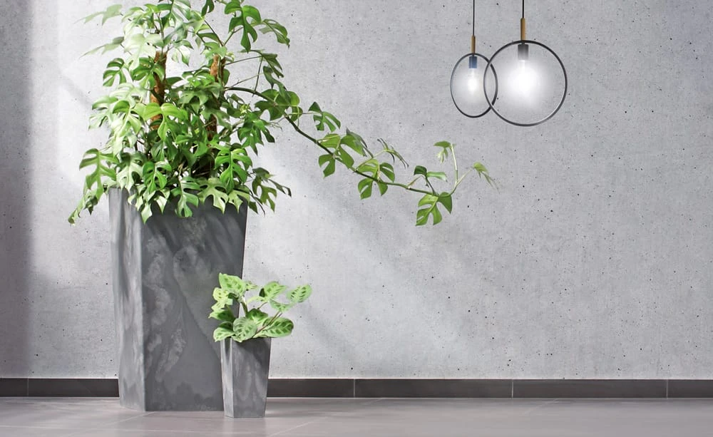 Blumentopf Betonoptik Anthrazit 49L 3 Blumentopf Betonoptik Anthrazit 49L – Bild 3