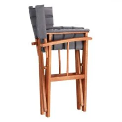 Regiestuhl 2er-Set Cannes Anthrazit Gepolstert -GartenMeister Verkäufe d0b17965c167cda25ac470a683ea30db de 108007d 4 1