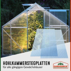 Hohlkammerstegplatten 14er-Set Transparent 10,25m² 35 Hohlkammerstegplatten 14er-Set Transparent 10,25m² -GartenMeister Verkäufe e2a936295364f726dbbb508475ee75fd 03 101737 on dts web low de 1