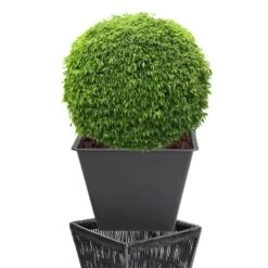 Blumenkasten Acapulco 2er-Set Schwarz 36x36x40cm -GartenMeister Verkäufe f43a46555a292399d3351b8724daa8ca de 108061d 10 1