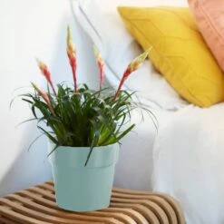 Elho Blumentopf Mint 18x17cm 2,9L -GartenMeister Verkäufe f5cb3d368259f02307261fe6fc3a37fb de 193649d 3 1 1