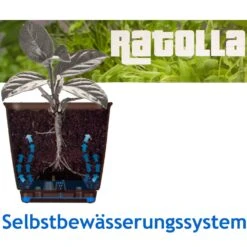 Balkonkasten Ratolla Umbra 39x16x14,5cm -GartenMeister Verkäufe fd05a767246d58b9ca964fad7e2c2334 de 880701d 1 2