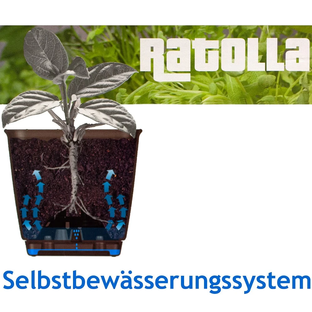 Balkonkasten Ratolla Weiß 49x16x17,5cm 3 Balkonkasten Ratolla Weiß 49x16x17,5cm – Bild 3